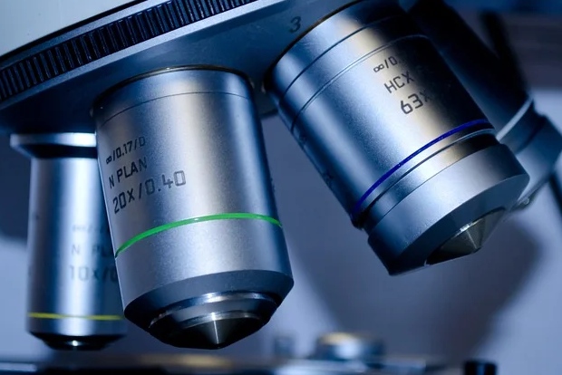 CMFRI scientist wins ICAR award for research on seaweed