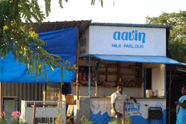 All 34 Aavin GMs transferred in revamp