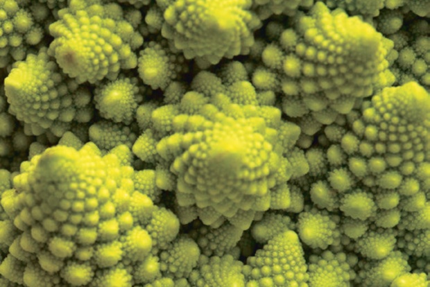 Cauliflower and chaos: fractals in every floret