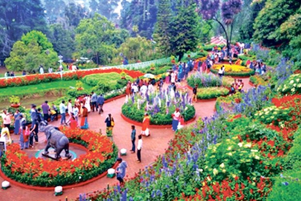 TN tour operators, guides hopeful of regaining lost livelihood