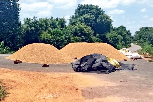 Ranipet farmers may go on warpath to demand opening of DPCs for paddy