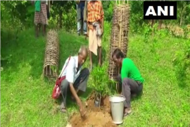 Odisha: 72-year-old Tree Teacher plants more than 30,000 trees over 60 years Odisha: 72-year-old Tree Teacher plants more than 30,000 trees over 60 years