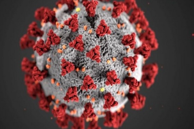 In Slovenia, the largest number of confirmed daily infections in two months