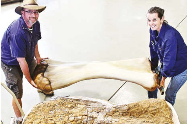 New dinosaur species discovered in Australia