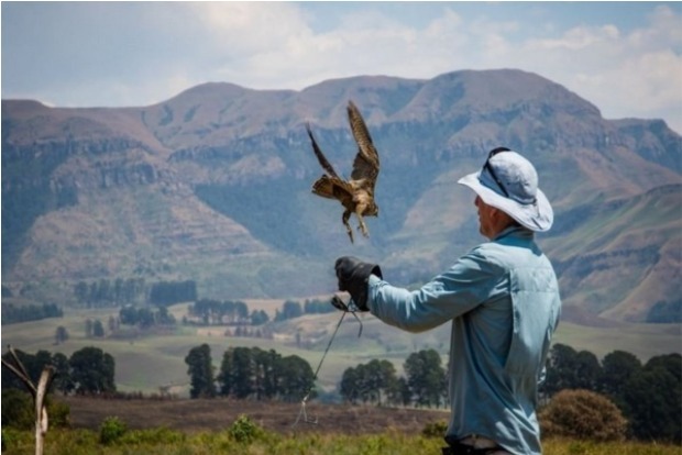 Study suggests more fairness required in conservation