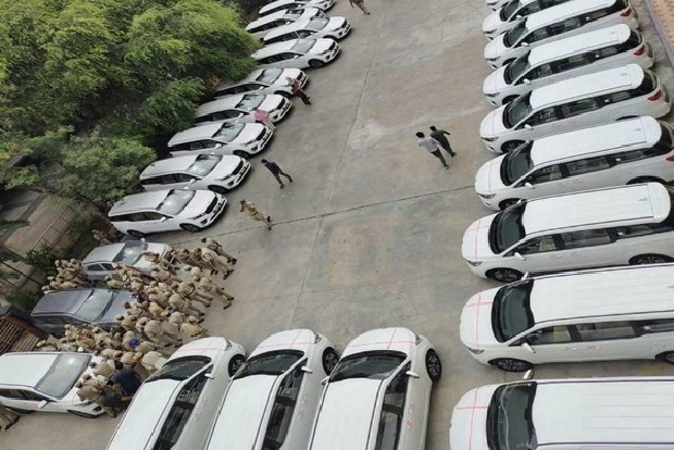 Telangana govts purchase of 32 luxury vehicles for IAS officers amid COVID crisis raises eyebrows Telangana govts purchase of 32 luxury vehicles for IAS officers amid COVID crisis raises eyebrows