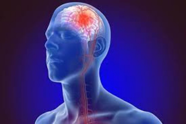 Researchers build first modular quantum brain sensor, record signal Researchers build first modular quantum brain sensor, record signal