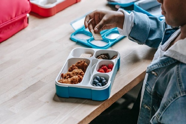 Free, nutritious school lunches help create richer and healthier adults: Study