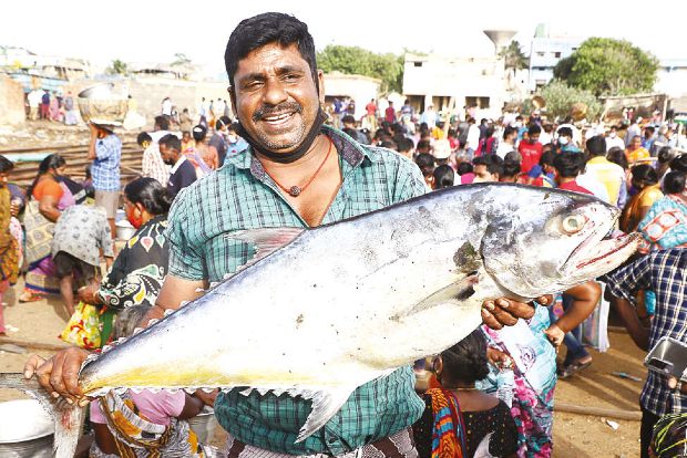 As trawling ban ends, fish dearer by 40 pc
