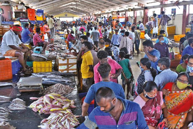 Social distancing goes for a toss as people throng fish markets in Chennai