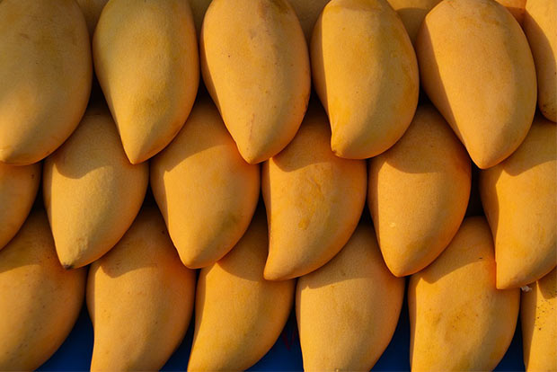 Karnataka growers dump mangoes as demand slumps, prices crash