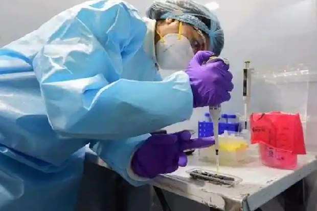 No case of Delta Plus strain in Himachal: Govt