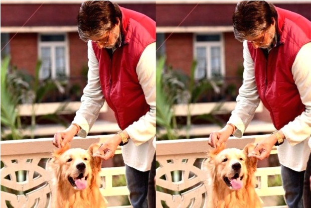 Big B shares picture posing with his co-star