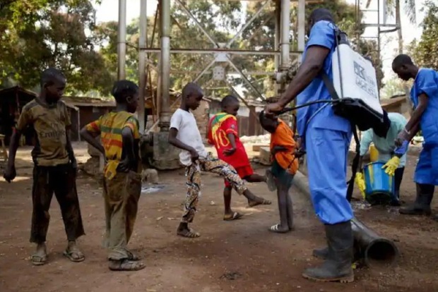 Ebola infects 28 people, kills 11 in Guinea, DRC