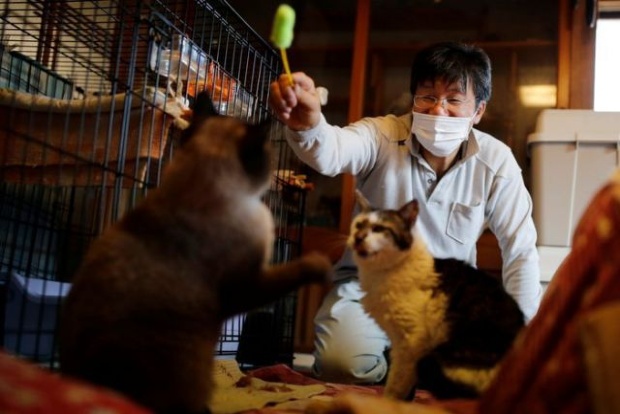 The man who saves forgotten cats in Fukushimas nuclear zone