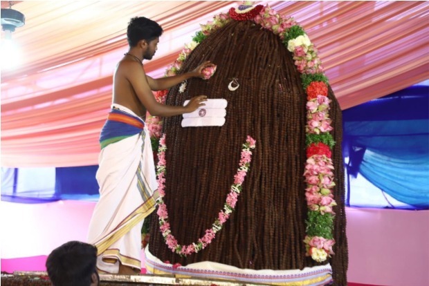Watch: Maha Sivarathiri Celebrations In Mylapore Kapaleeswarar Temple
