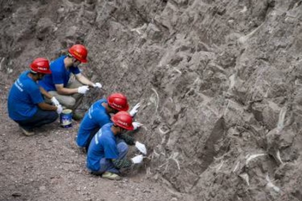 Dinosaur toe bone found in South Korea