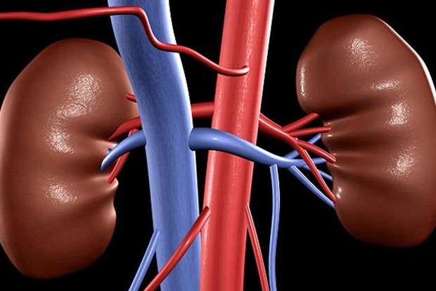 Support group for dialysis patients set up in city