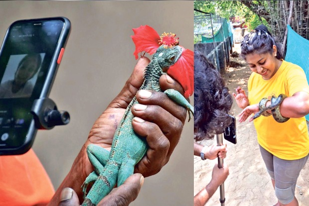 Crocodile Bank’s virtual programmes help enthusiasts study reptiles closely