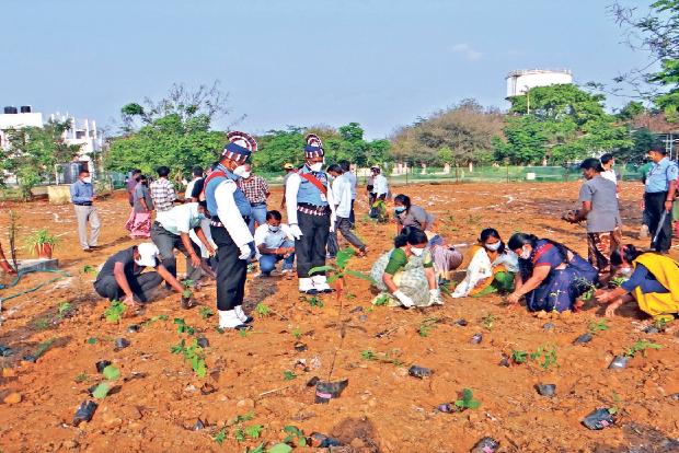 NIT Tiruchy starts work on Miyawaki forest on campus NIT Tiruchy starts work on Miyawaki forest on campus