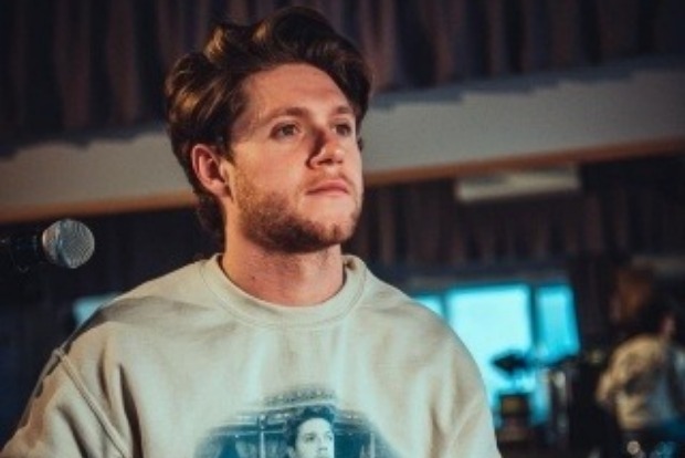 Niall Horan on struggling with fame during One Direction days