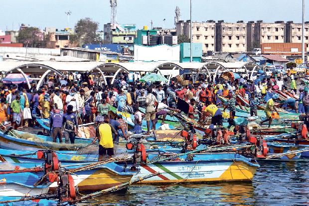 Fish, meat markets see large crowds ahead of weekend shutdown Fish, meat markets see large crowds ahead of weekend shutdown