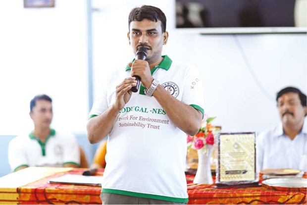 City professor creates six sanctuaries for sparrows