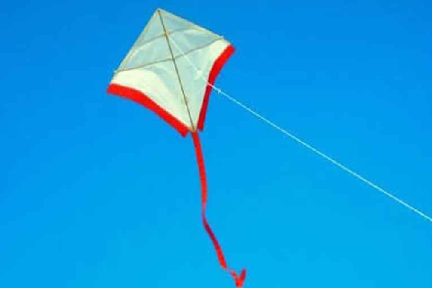 Ban on kite flying, sale of manja thread extended Ban on kite flying, sale of manja thread extended