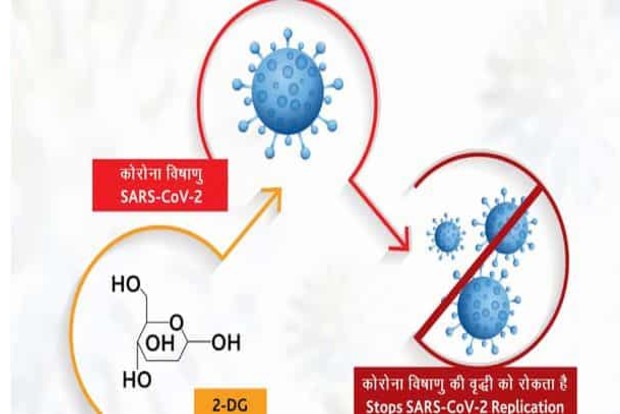 DRDOs anti-Covid drug 2-DG launched DRDOs anti-Covid drug 2-DG launched
