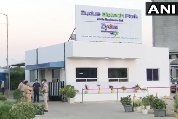 Zydus seeks DCGI approval for clinical trial of monoclonal antibodies cocktail