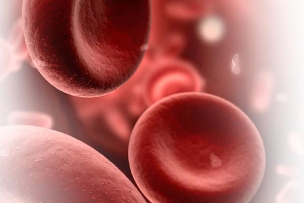 New drug combo found effective against high-risk leukaemia