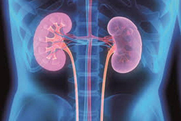 Diabetes drug can improve kidney function: Lancet