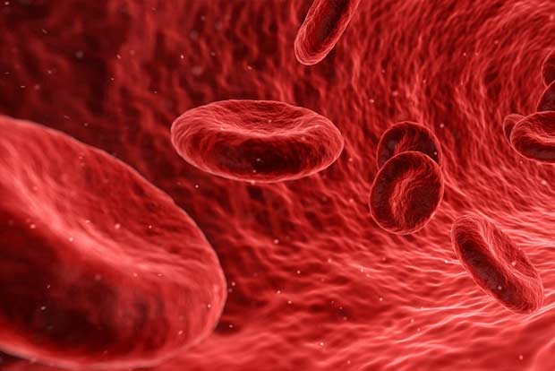 Proteins in Covid virus that damage blood vessels found