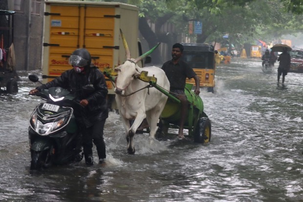 Heavy rains: Tamil Nadu declares local holidays on Nov 10, 11 in 9 dists Heavy rains: Tamil Nadu declares local holidays on Nov 10, 11 in 9 dists