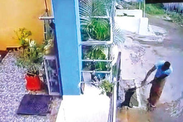 Man repeatedly beats pet dog in Kovai, booked