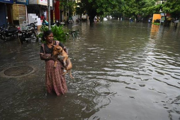 Social media trolls target netas as flood crisis worsens in Chennai