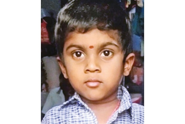 Boy dies in house collapse, teacher killed in tree fall