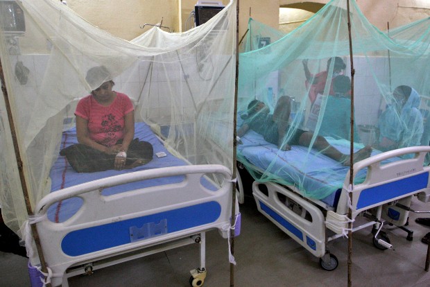Delhi records highest number of dengue cases in six years