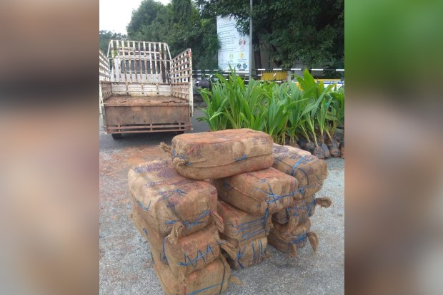 NCB seizes 212.5 kg ganja smuggled from Andhra, 4 held on Vellore-Krishnagiri Road NCB seizes 212.5 kg ganja smuggled from Andhra, 4 held on Vellore-Krishnagiri Road
