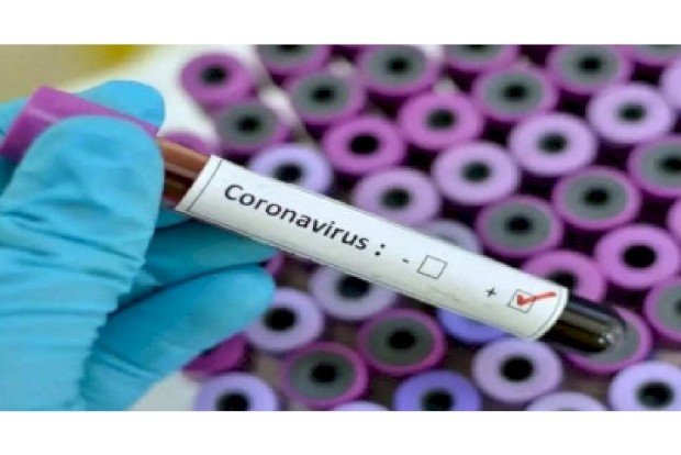 Two South African nationals test Covid positive in Bengaluru