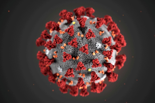First case of Omicron variant confirmed in Italy