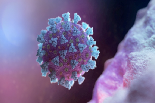 Bodies of Covid-19 victims rotting in Bengaluru hospital for over one year