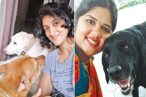 ‘Separation anxiety in pandemic puppies can be dealt with by communication’