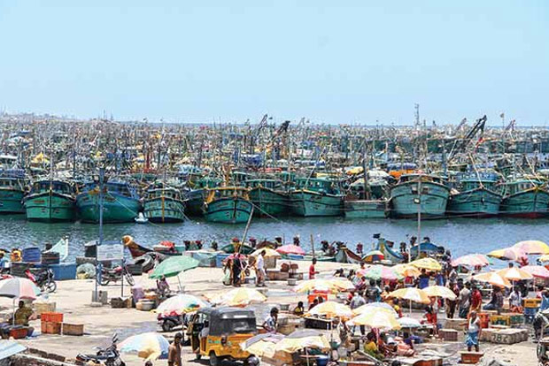 Panic in Kasimedu after ammonia leak from ice factory near harbour