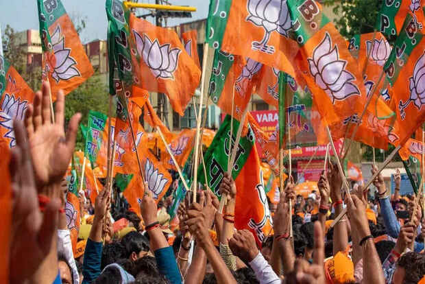 BJP announces candidates for Assam Assembly bypolls