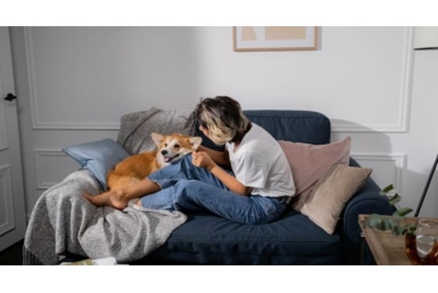 Blood donation in pets