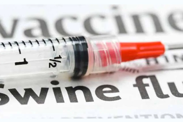 Focus on COVID, but swine flu goes under-reported Focus on COVID, but swine flu goes under-reported