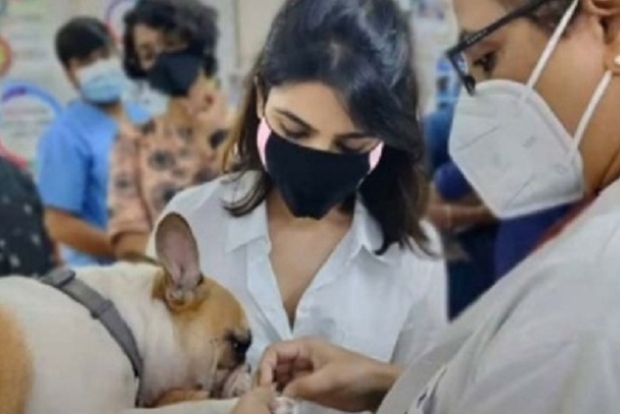 Samantha paws a visit to the vet clinic post divorce
