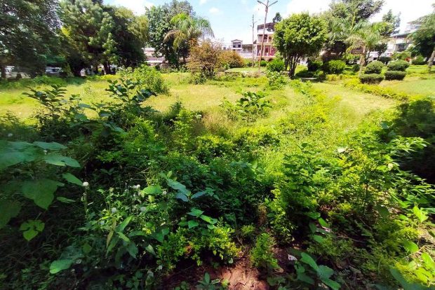 GCC fines contractors Rs 5 lakh for shoddy park maintenance GCC fines contractors Rs 5 lakh for shoddy park maintenance