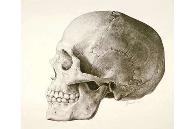 In search of nuance: Can skeletons have a racial identity?